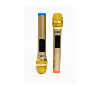 Sistema De Micrófonos Inalámbricos UHF Radox 490-470