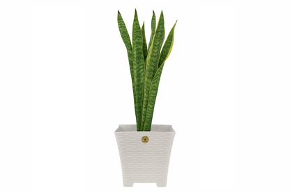Maceta Grande Cuadradas Tipo Rattan Blanco Cantera MRGR0023 La Ardilla